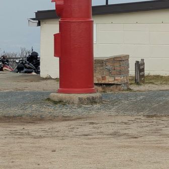 車で上がれて結構な人がいたので遠目に🧐