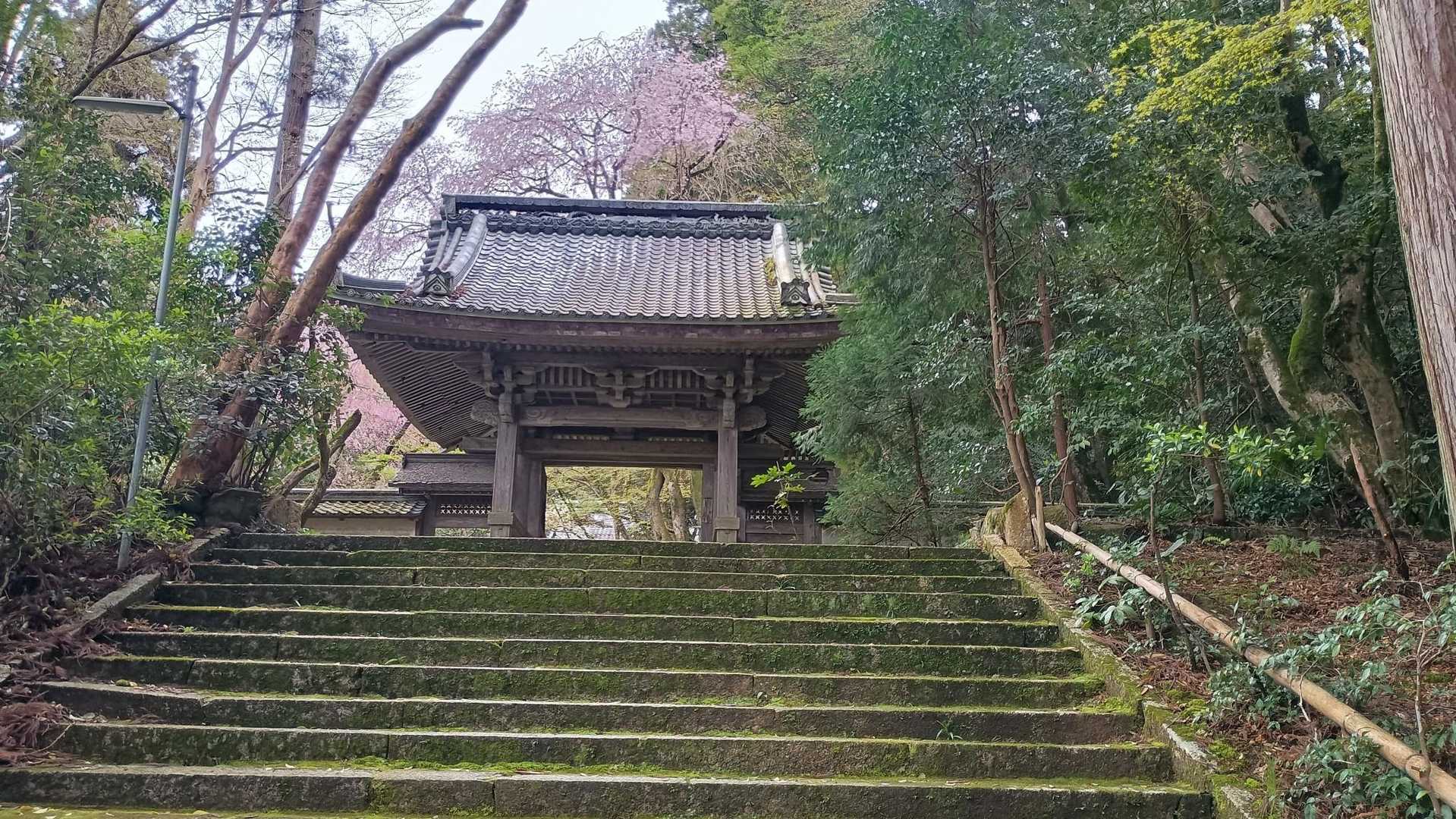 階段を登って山門をくぐります
