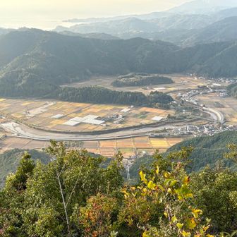 南側を見ると宍喰川(ししくいがわ)とパッチワークの田畑
山向こうに西日本有数のサーフポイント
生見海岸

ヤッコソウも見れたので下山して久々の🏄‍♂️へ