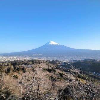明星山山頂の展望台から富士山を臨む。