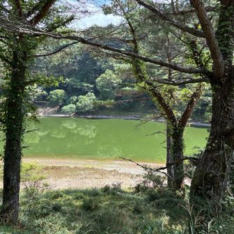 午後の部は丸笠山を目指します
写真は入り口の夫婦池、水嵩がだいぶ少ない様子