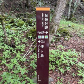 聖光小屋まで、小一時間って事ね