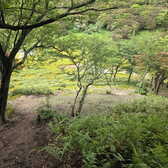 中峠に降りてきた