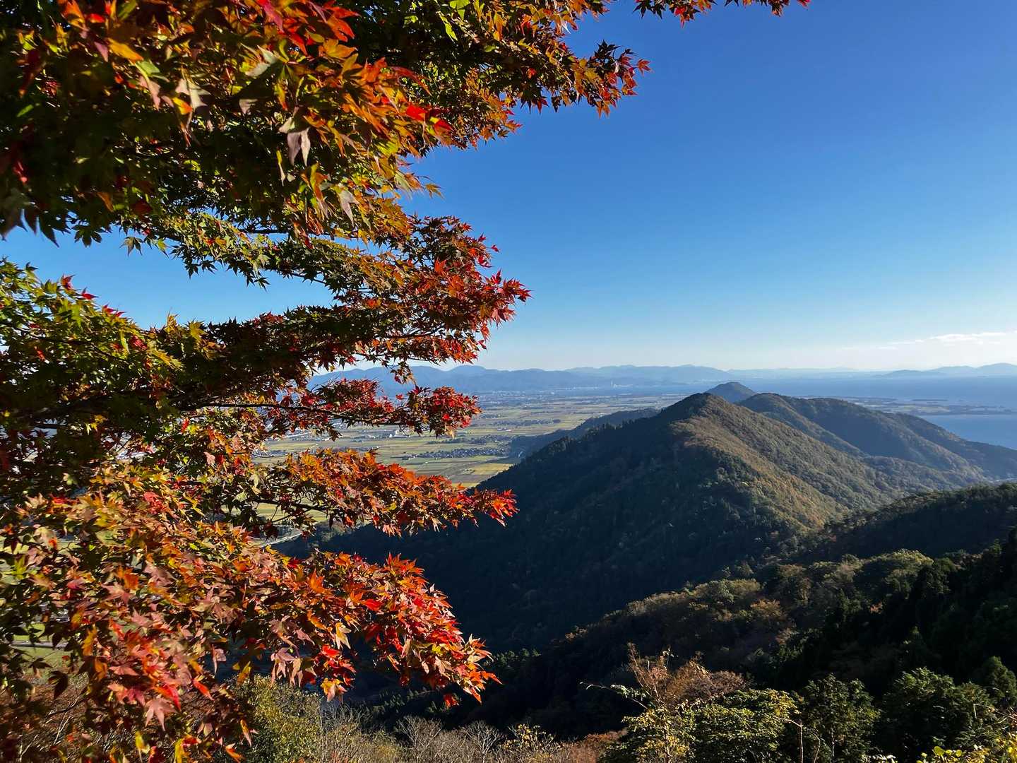 山頂の紅葉も良き🍁🍁🍁