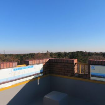 展望台に上がります