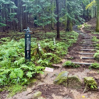 登山口
ここが一合目