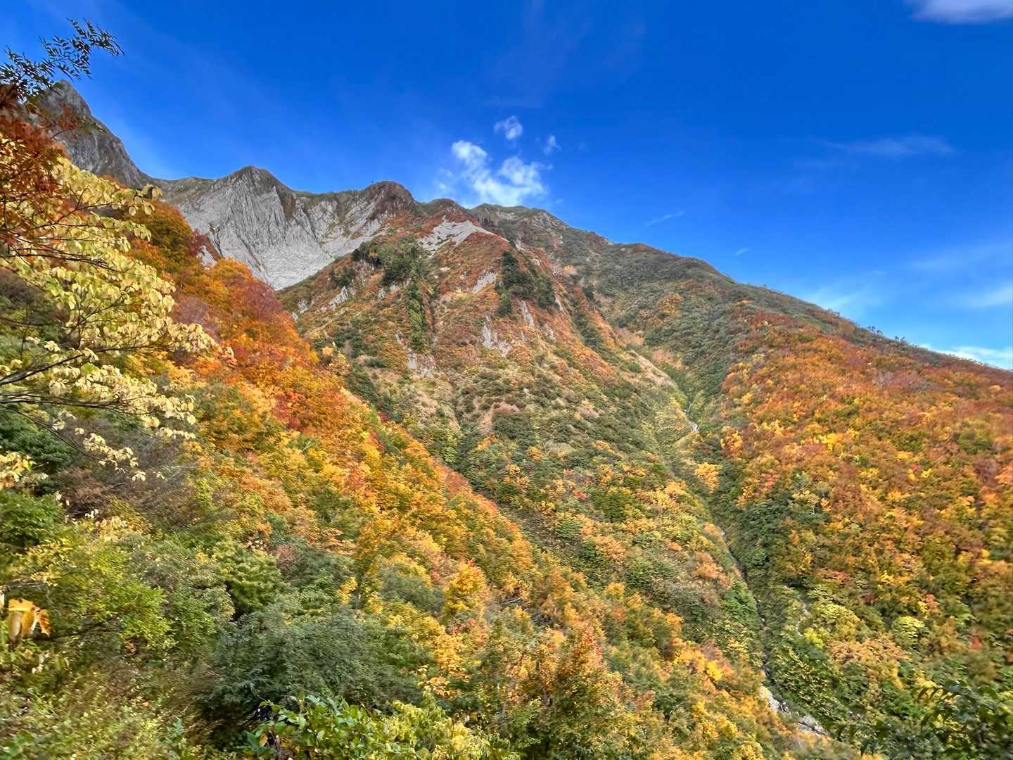 雨飾山 往復 | 急登を越え圧巻の迫力の岩峰群と稜線上の楽園を愛でるの写真