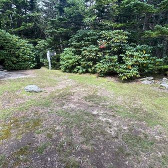 三宝山は眺望はないが少し開けているので休憩も出来る
