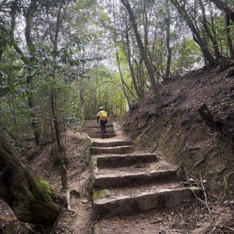 虫は、アブが2〜3匹ほど付きまとっていましたが奥方にうちわで撃退されてから見なくなりました😆