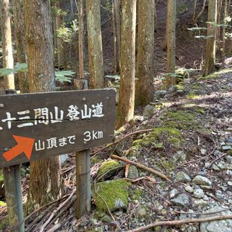 獣柵を越え、沢沿いに水音を聞きながら登って来ました♫ 小さな滝が幾つも👀
傾斜がキツくなります😅