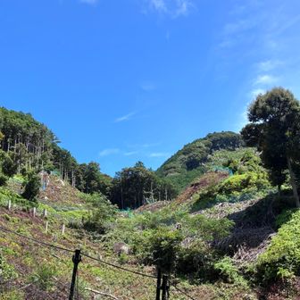 山頂が見えているが遠い