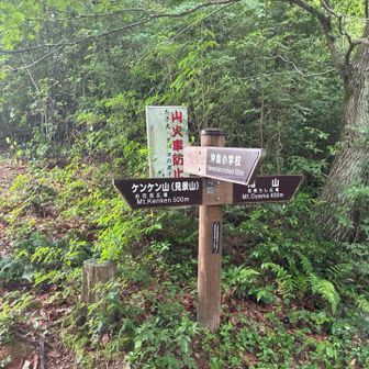 尾山に向かいます