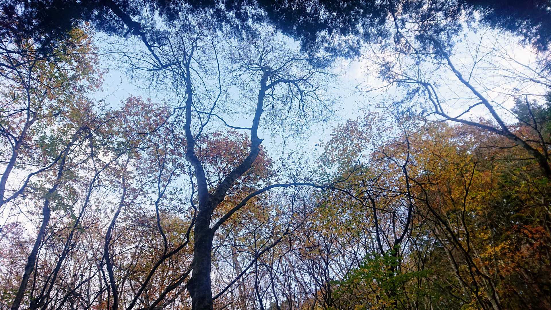 曇り☁️予報でしたが
晴れてよかった☀️