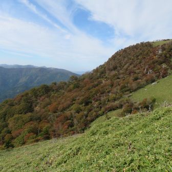 ピーク紅葉にはまだ早い