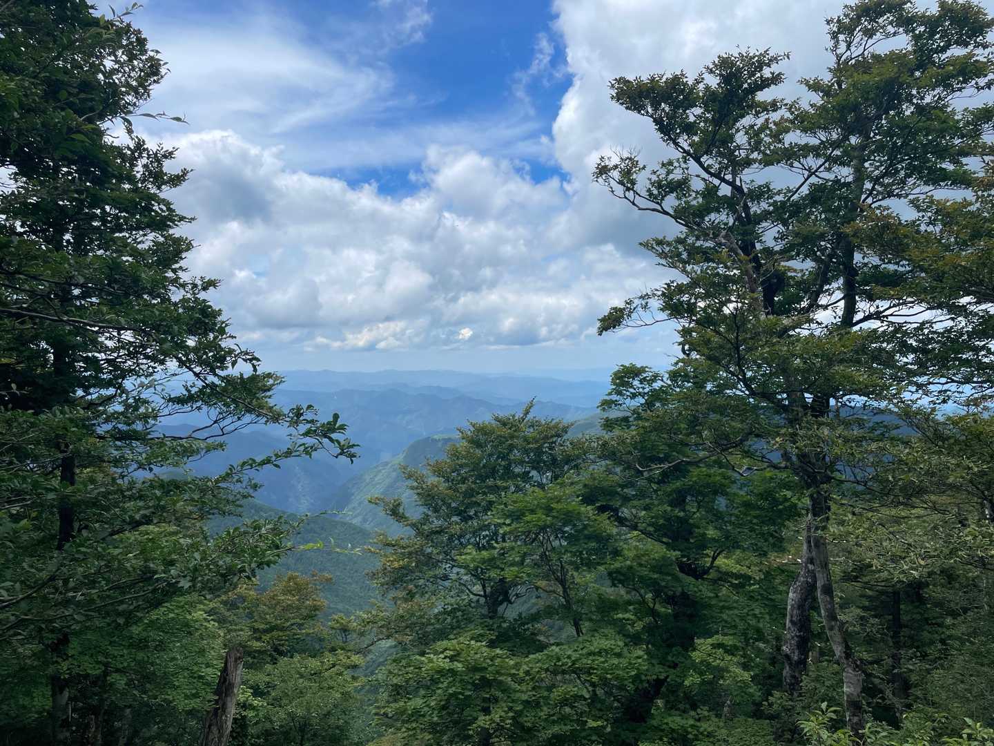 母公堂ー稲村ヶ岳　往復コースの写真