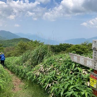 椎原峠に向かいます