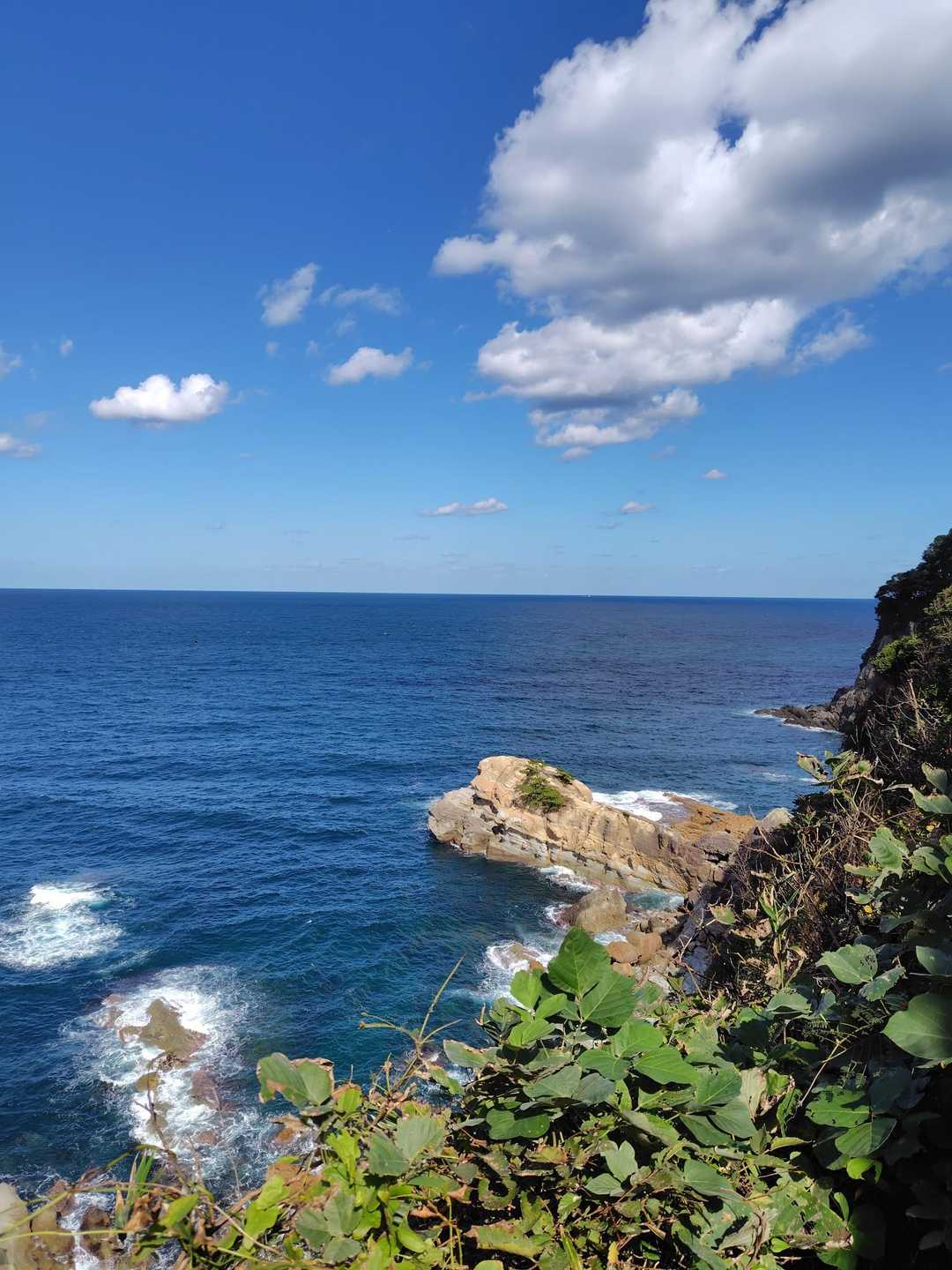 賀嶋山 往復コースの写真