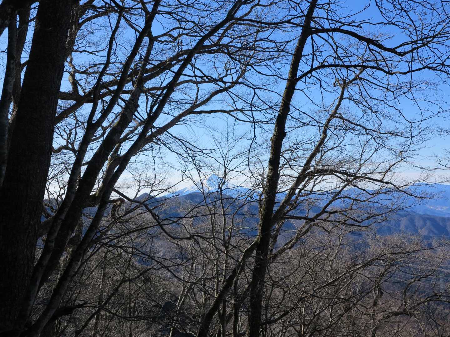 あ！富士山！
