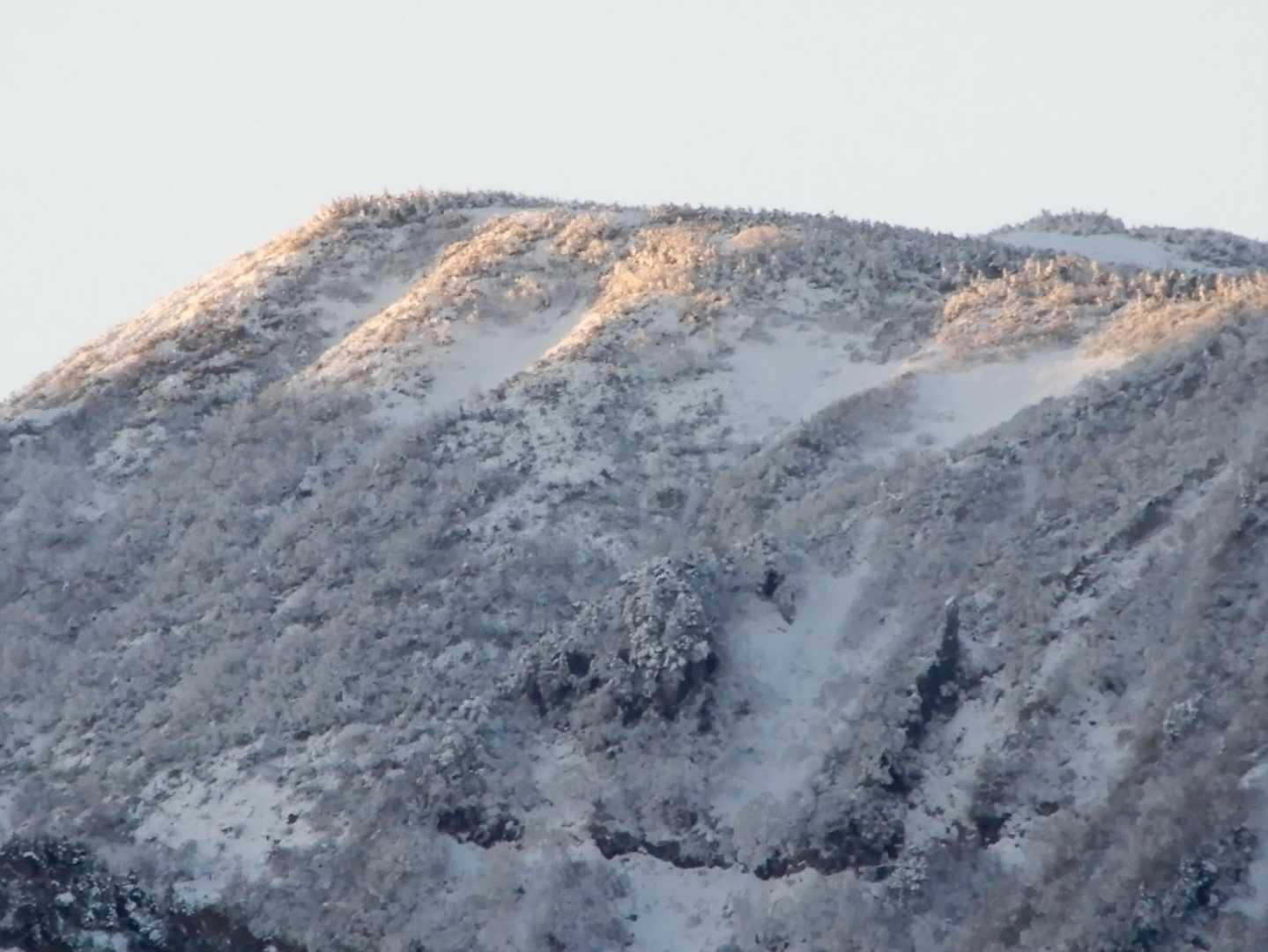 雪化粧した尾添尾根に朝日が当たって綺麗