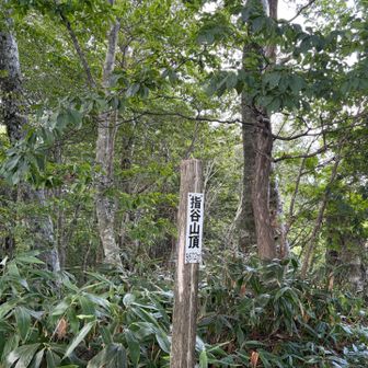 🙌指谷山やっと着きました🙌
時間が遅いから少し焦り気味