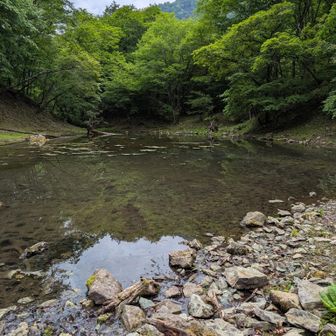 笹池。
この池は湧き水で池の底からコポコポ泡が出てました。