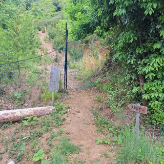 ネットの紐を解いて入山🚶🏻