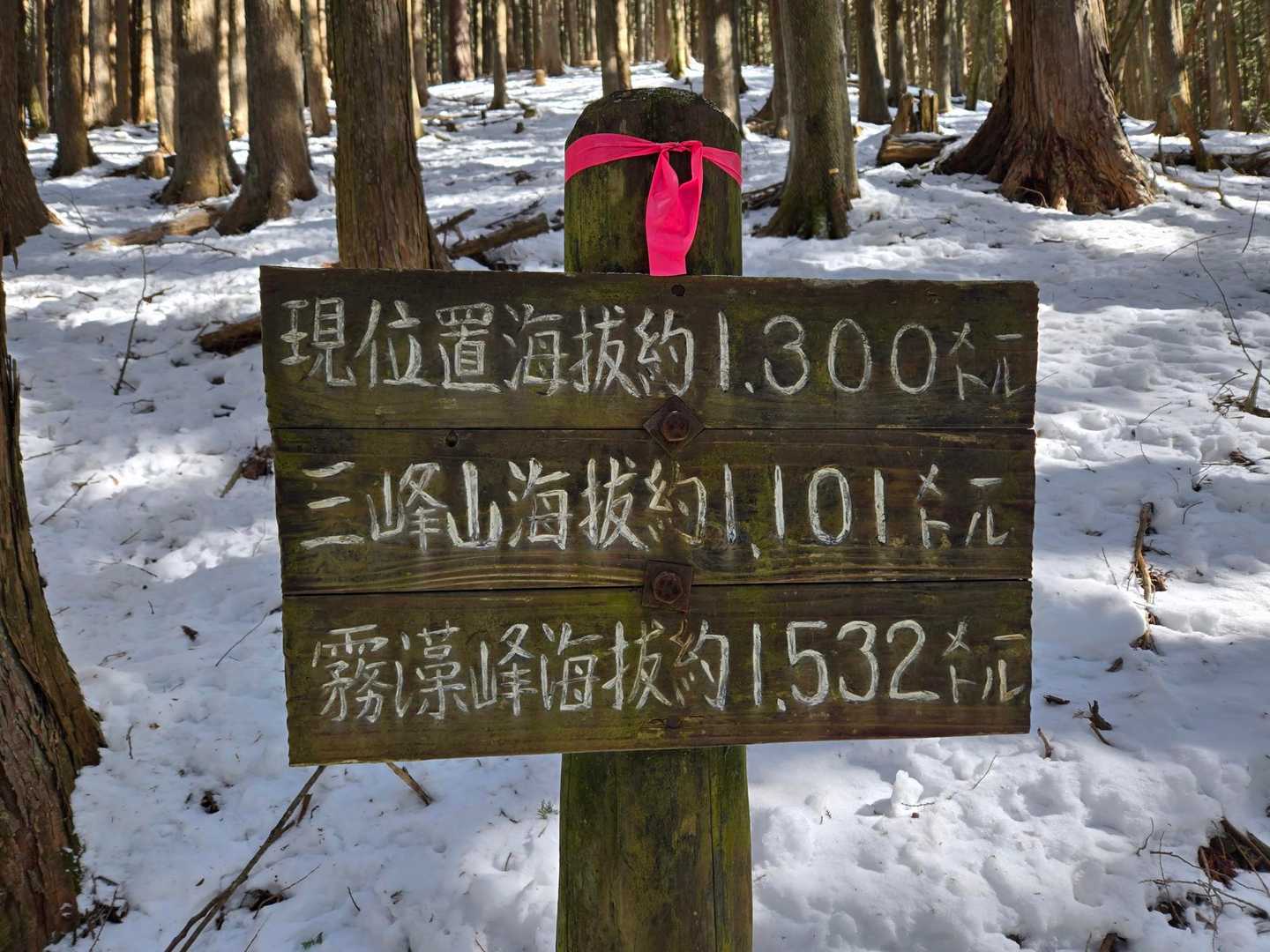 ポイント標識②