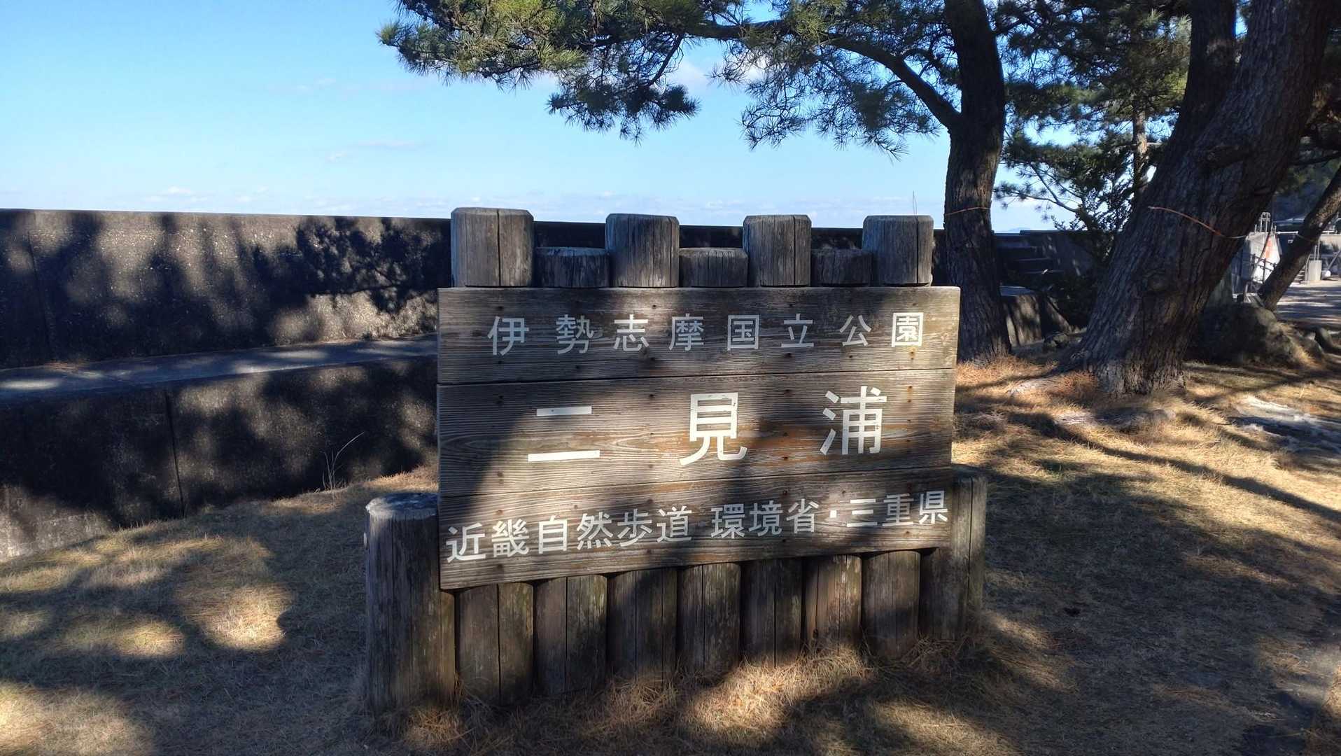 下まで降りてきたよ