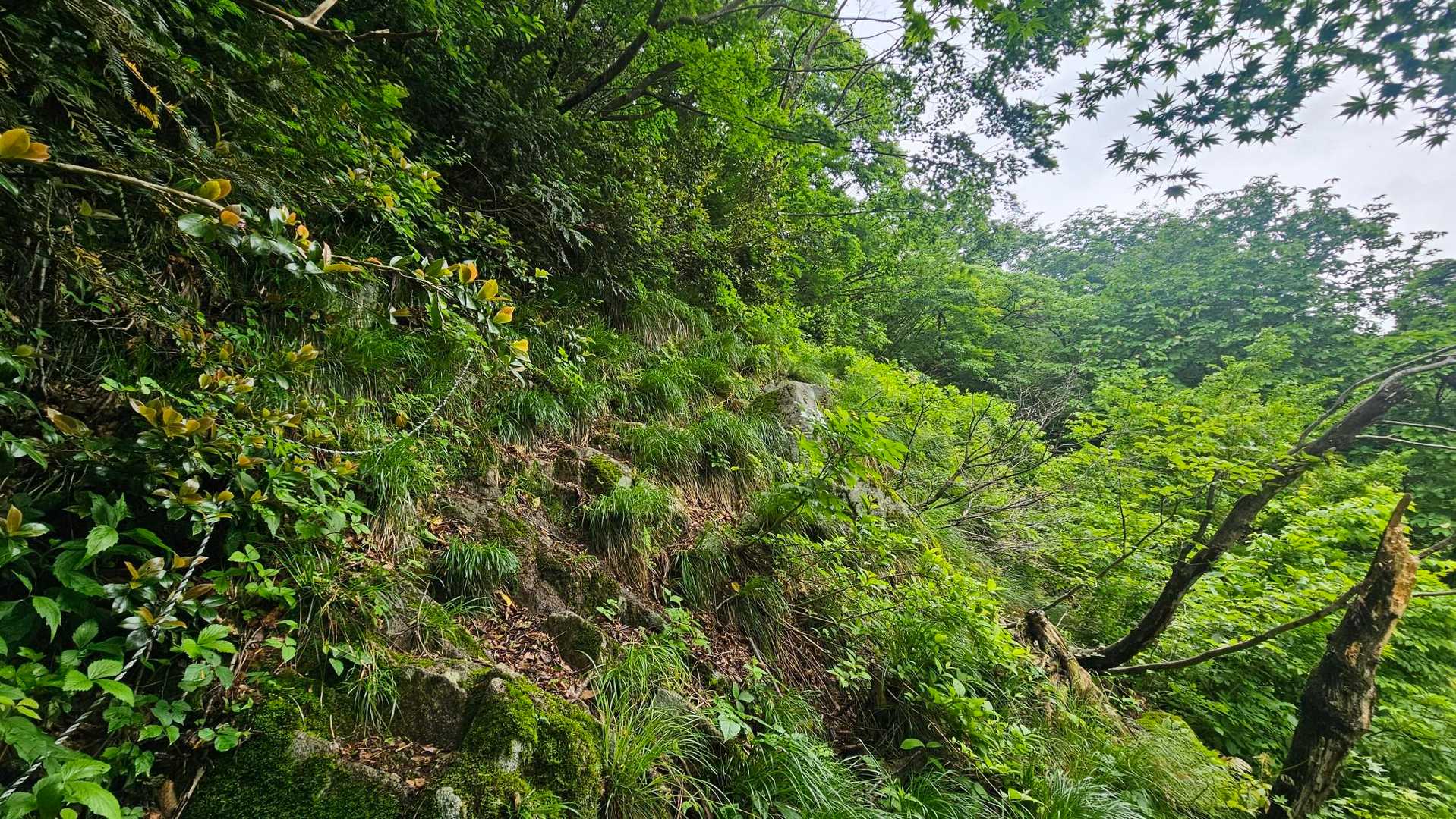 雨で滑りますなぁ☔