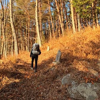 こっちじゃなーい😭