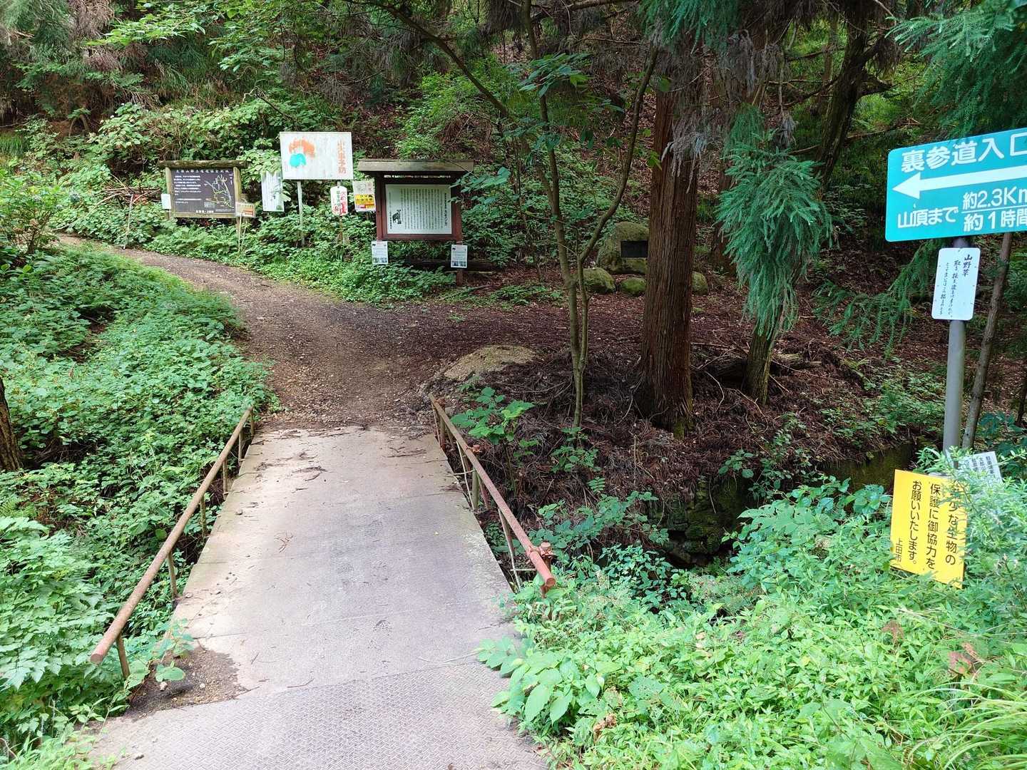 太郎山裏参道登山口からスタート。