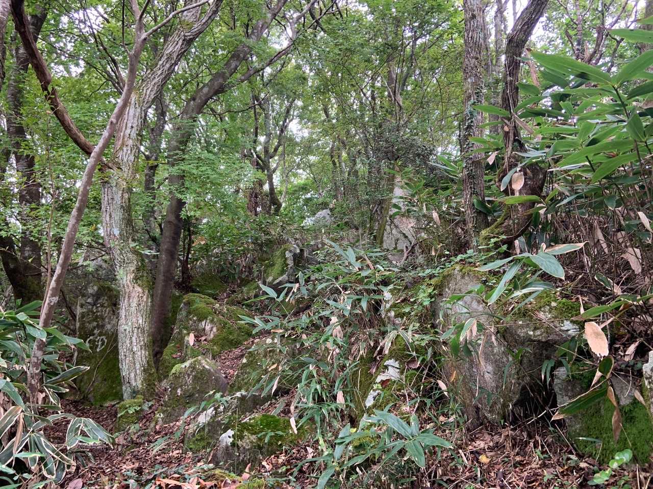 星山東登山口-星山-扇山-五輪山-櫃ヶ山-櫃ヶ山登山口 縦走コースの写真