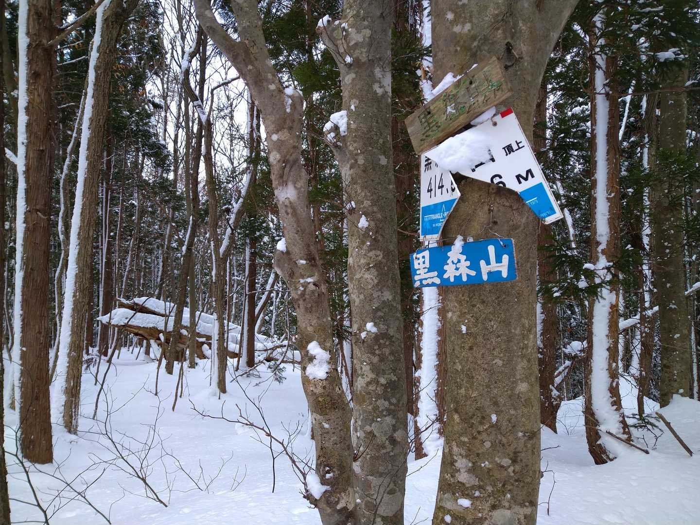 ありましたプレート　黒森山山頂イェ～イ🎉