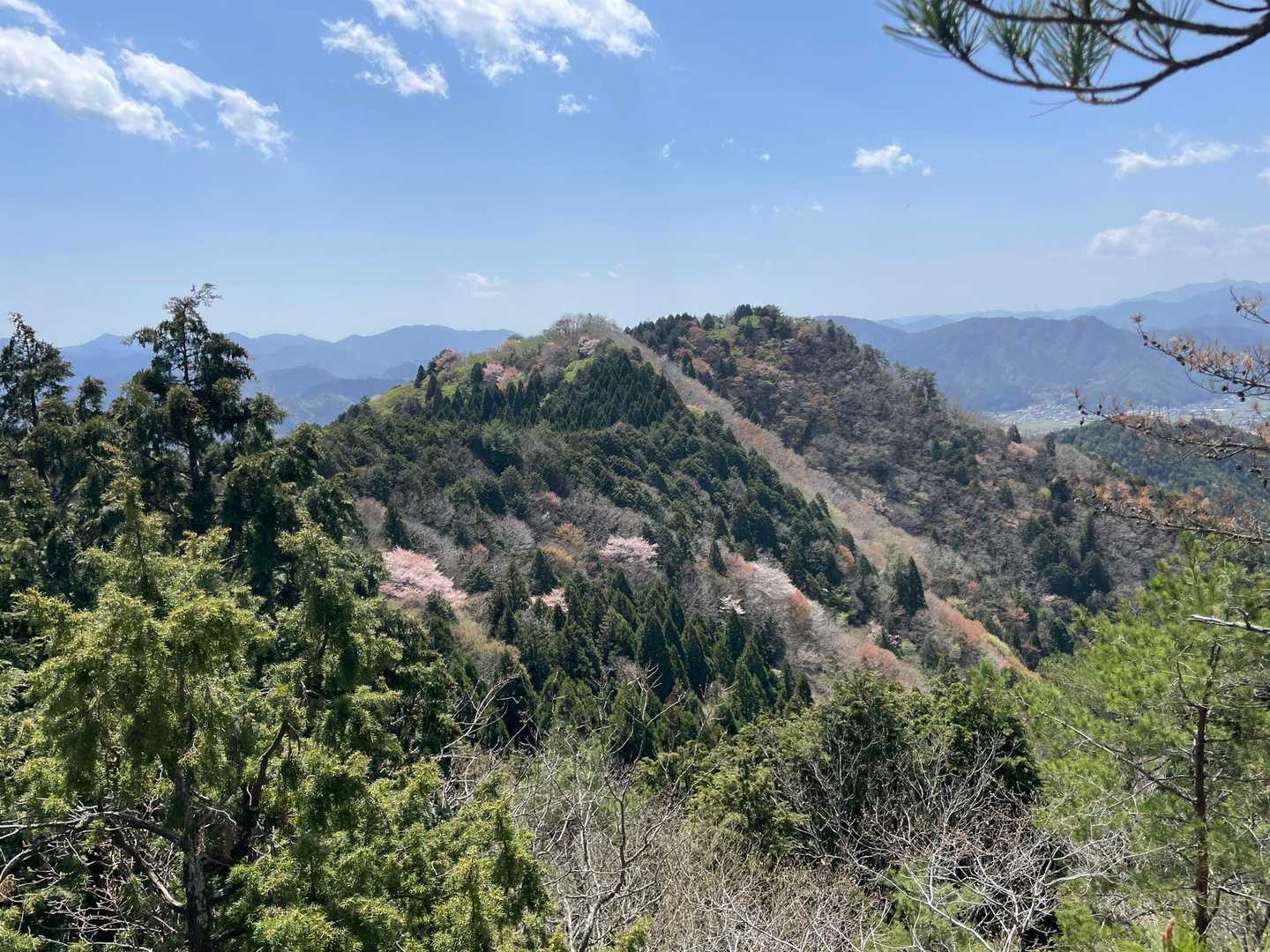 五の山-清水山-剣爾山 周回コースの写真