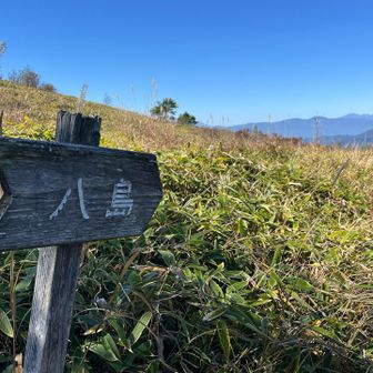ゼブラ山(男女倉山)に向かいます。