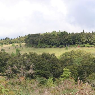 航空写真を見ると湿原ではなく、畑だったようです。