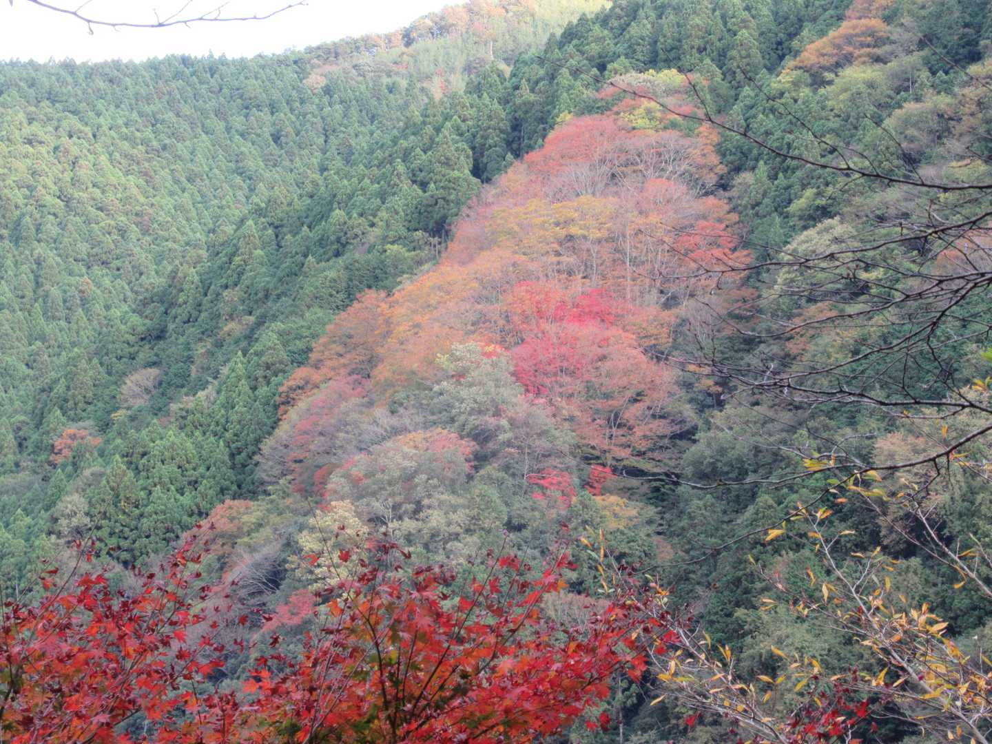 保津峡付近