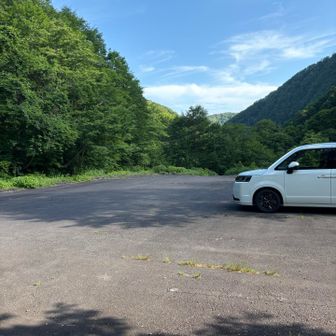 ボッチ