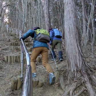堂平山・笠山（乳房山）・大霧山 茶屋の裏からグイグイと上がる
ピカピカな手すりですが🤭助かりますね