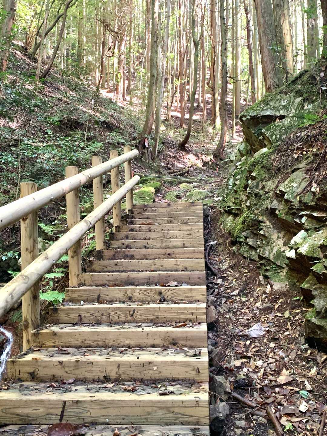 歌垣山登山口バス停-かがいの広場-歌垣山-堀越峠 往復コースの写真