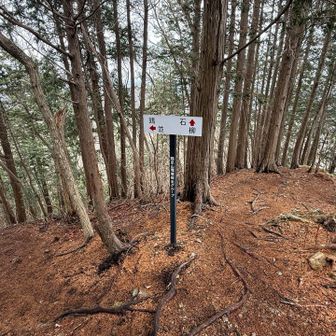 鶏石方面に向かいます🪨