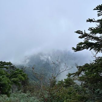 山頂、白砂山方面は真っ白☁️