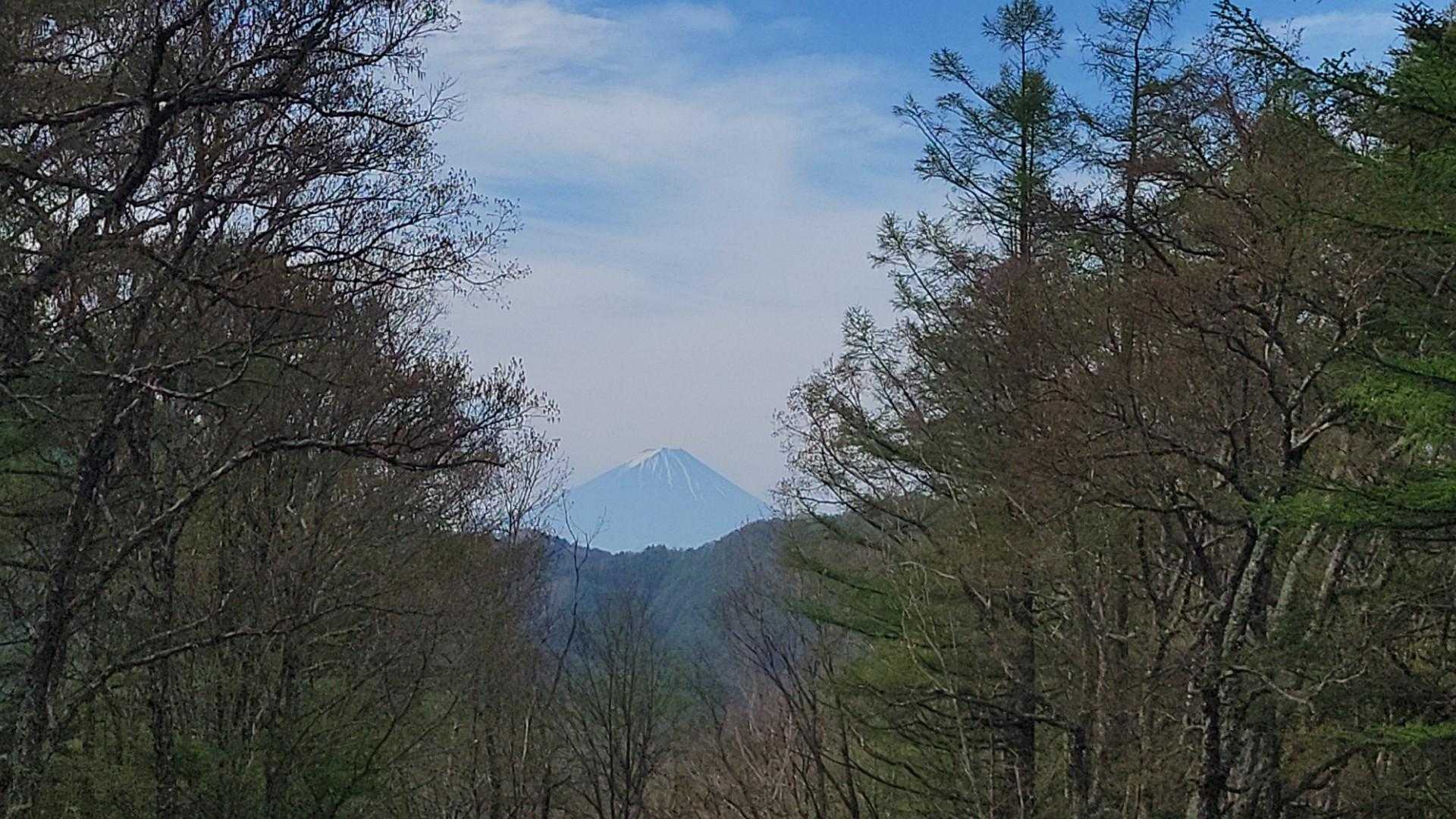 富士山アップ🎵