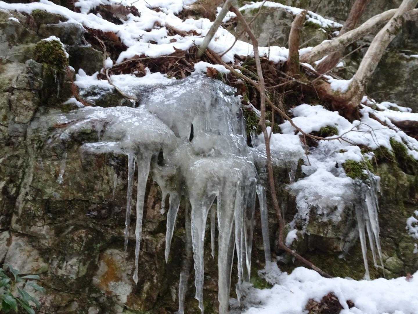 つらら〜