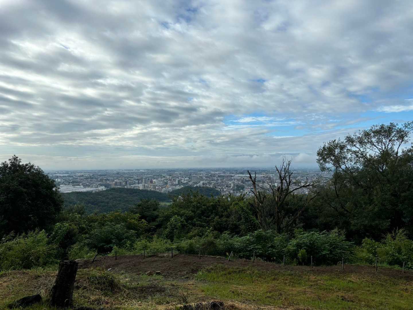 雲ひくーい☁️