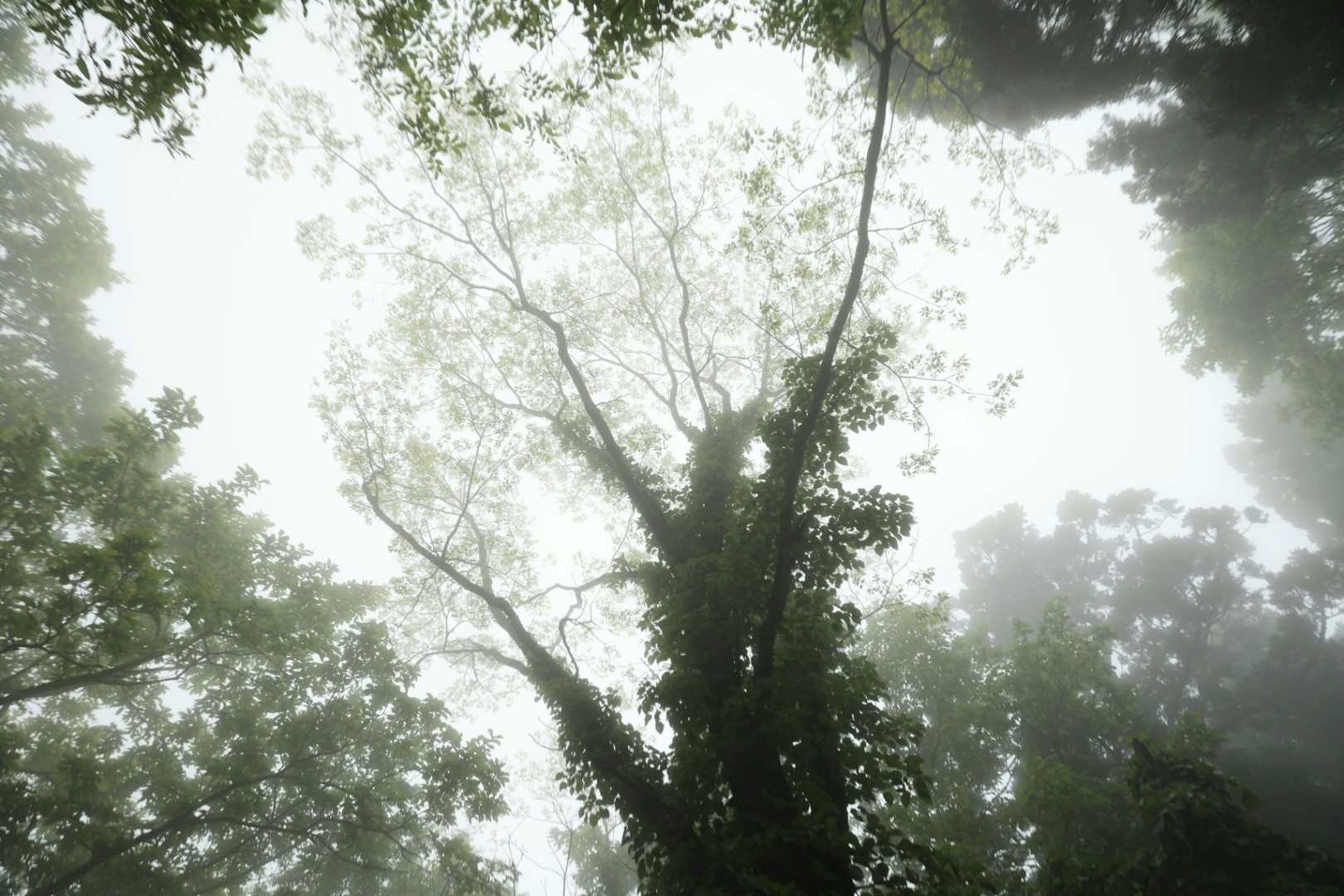【フラット登山】佐渡の山々・ぐるり日本海をどこまでも望んでの写真