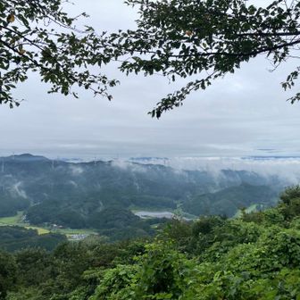 富士見の丘から
先週よりは眺望あり