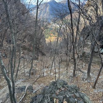 落ち葉で滑る急登が終わった