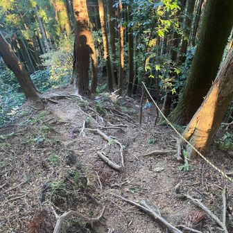 駐車場へのショートカット