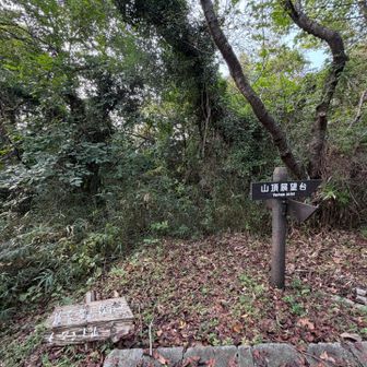 まずは展望台へ